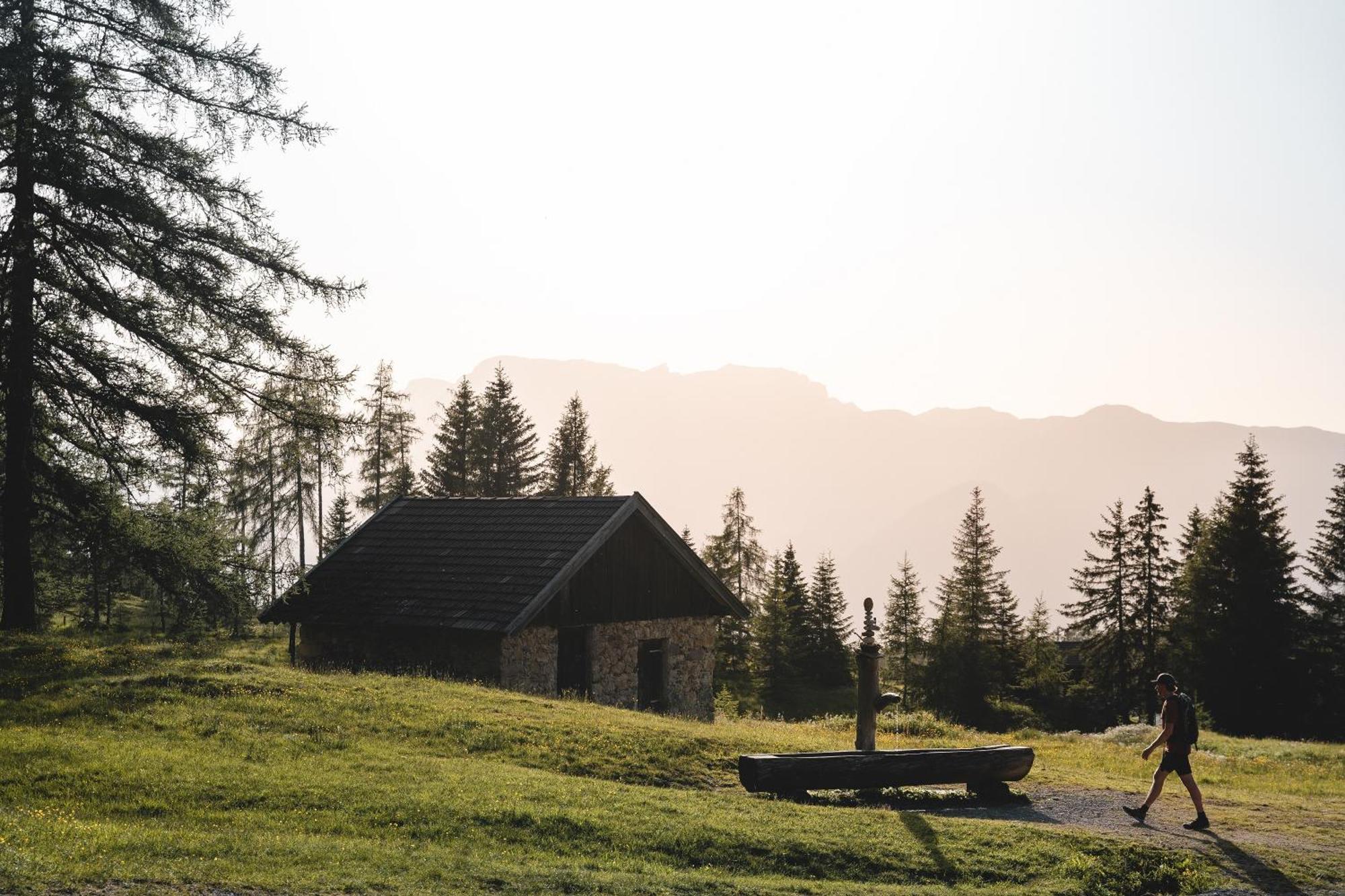 Appartement Woelzenberg Alm à Reith im Alpbachtal Extérieur photo